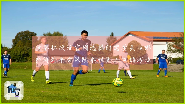 世界杯投注官网选择时需要关注哪些海外平台风险和识别入口的方法