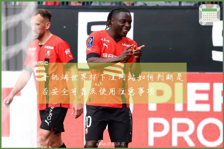手机端世界杯下注网站如何判断是否安全可靠及使用注意事项