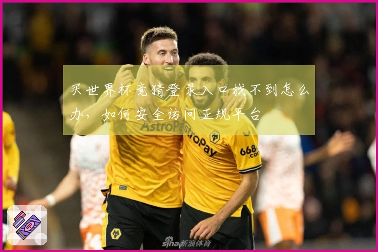 买世界杯竞猜登录入口找不到怎么办，如何安全访问正规平台