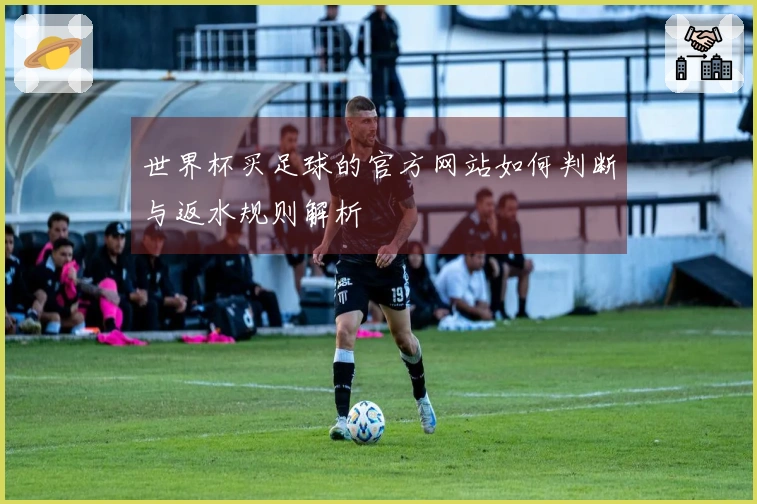 世界杯买足球的官方网站如何判断与返水规则解析