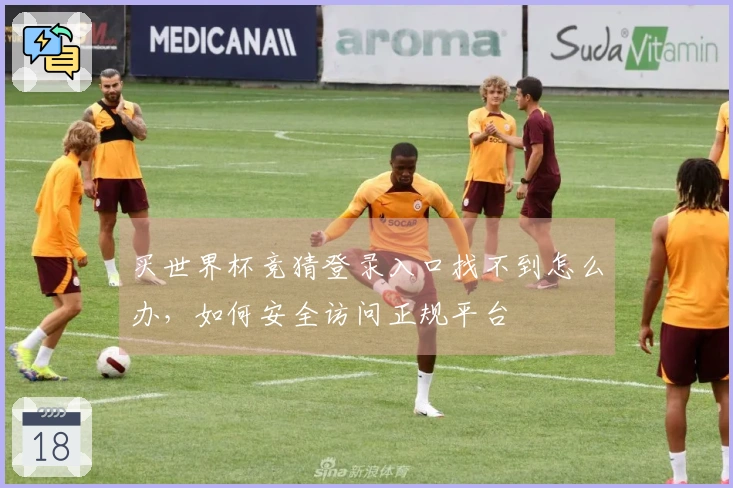 买世界杯竞猜登录入口找不到怎么办，如何安全访问正规平台