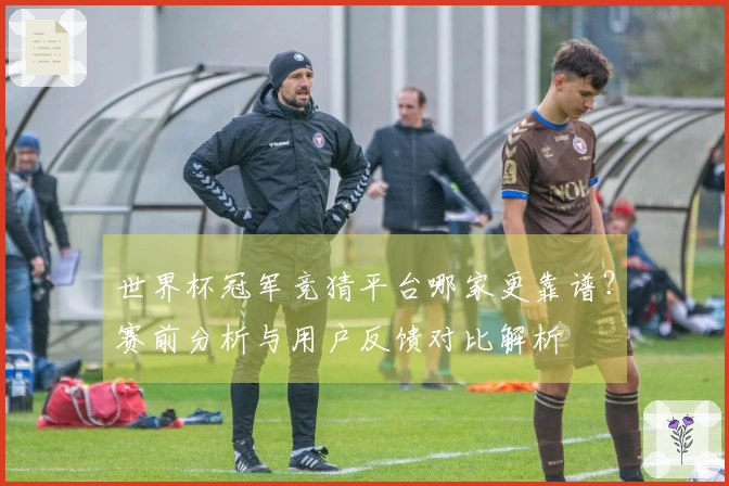世界杯冠军竞猜平台哪家更靠谱？赛前分析与用户反馈对比解析