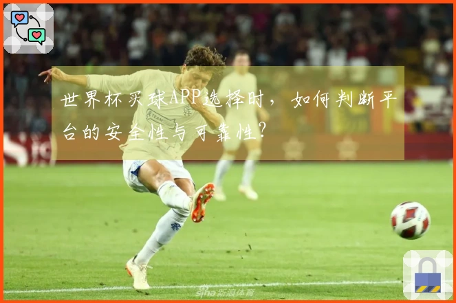世界杯买球APP选择时，如何判断平台的安全性与可靠性？