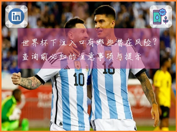 世界杯下注入口有哪些潜在风险？查询前必知的注意事项与提示