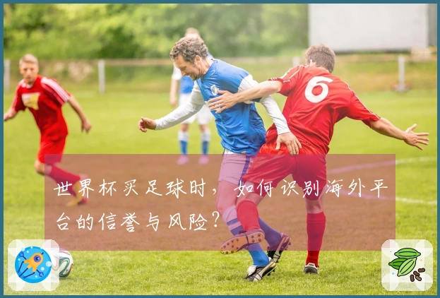 世界杯买足球时，如何识别海外平台的信誉与风险？