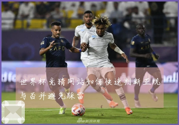 世界杯竞猜网站如何快速判断正规与否并避免踩雷