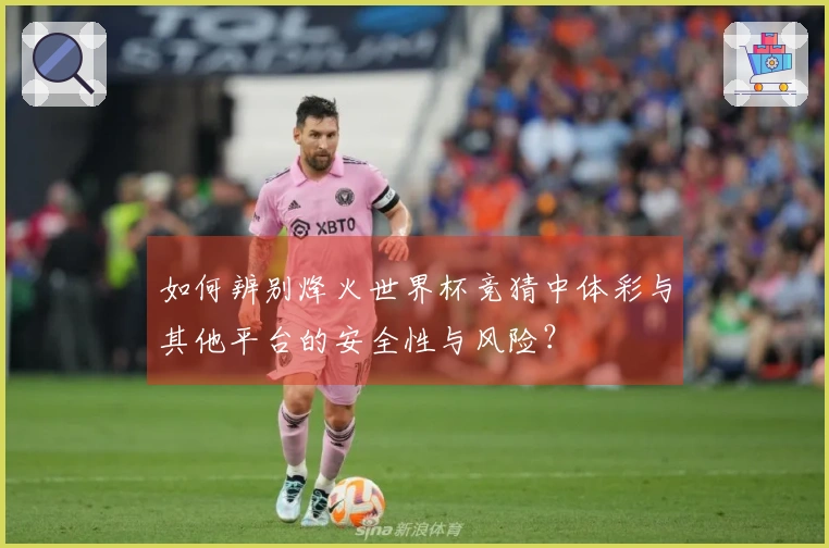 如何辨别烽火世界杯竞猜中体彩与其他平台的安全性与风险？