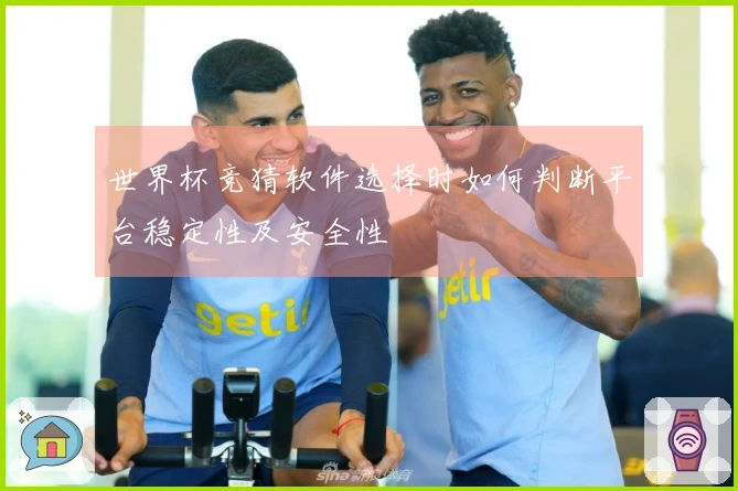 世界杯竞猜软件选择时如何判断平台稳定性及安全性