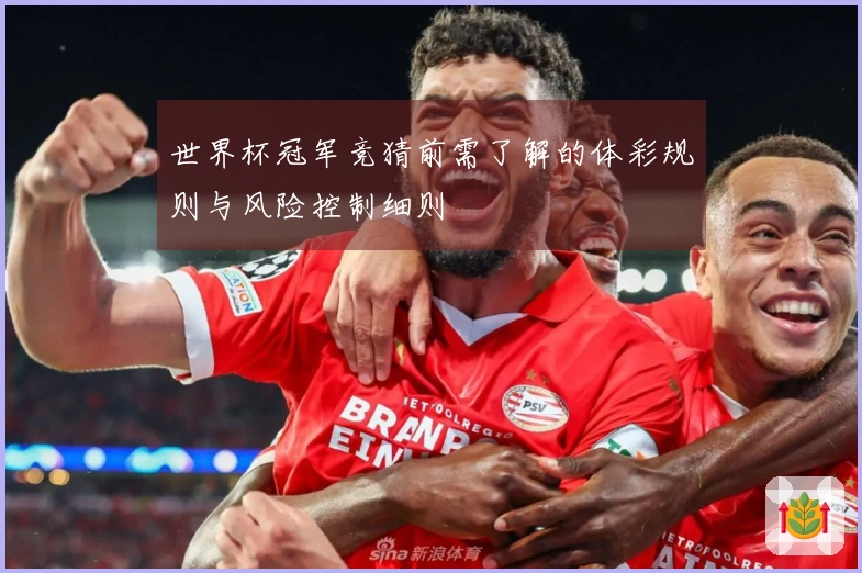 世界杯冠军竞猜前需了解的体彩规则与风险控制细则