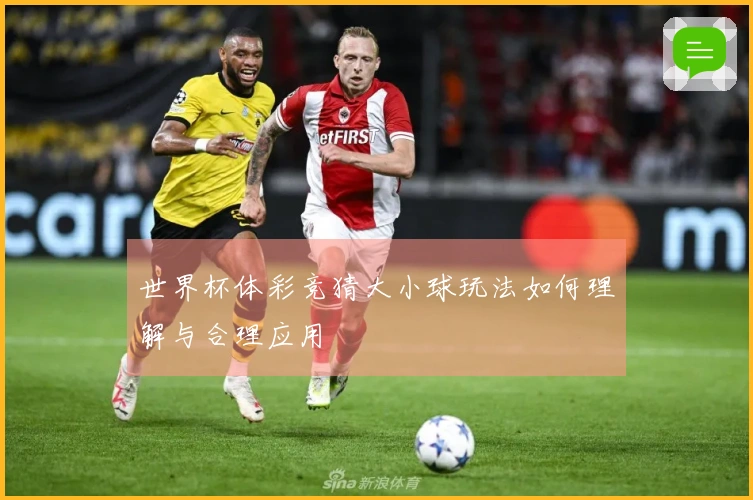 世界杯体彩竞猜大小球玩法如何理解与合理应用
