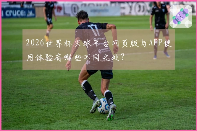 2026世界杯买球平台网页版与APP使用体验有哪些不同之处？