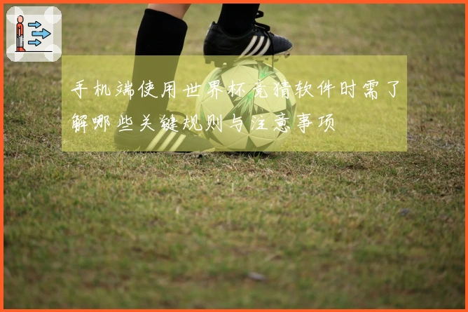 手机端使用世界杯竞猜软件时需了解哪些关键规则与注意事项