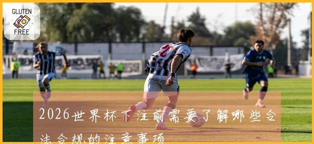 2026世界杯下注前需要了解哪些合法合规的注意事项