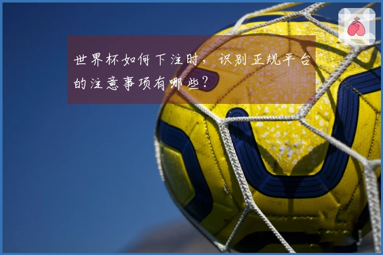 世界杯如何下注时，识别正规平台的注意事项有哪些？