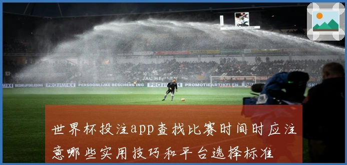 世界杯投注app查找比赛时间时应注意哪些实用技巧和平台选择标准