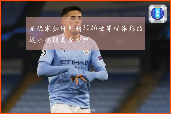 老玩家如何判断2026世界杯体彩的返水规则是否合理