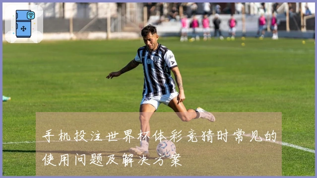 手机投注世界杯体彩竞猜时常见的使用问题及解决方案