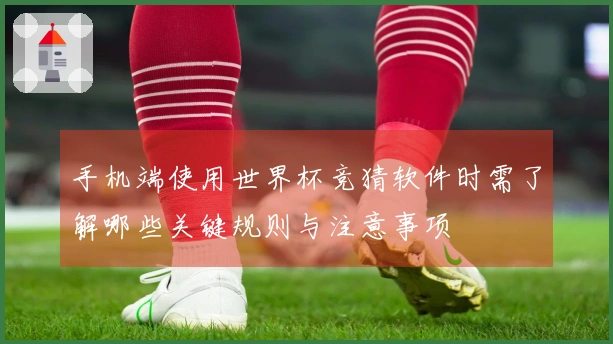 手机端使用世界杯竞猜软件时需了解哪些关键规则与注意事项