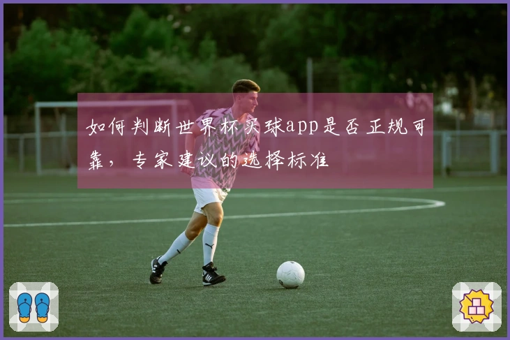 如何判断世界杯买球app是否正规可靠，专家建议的选择标准
