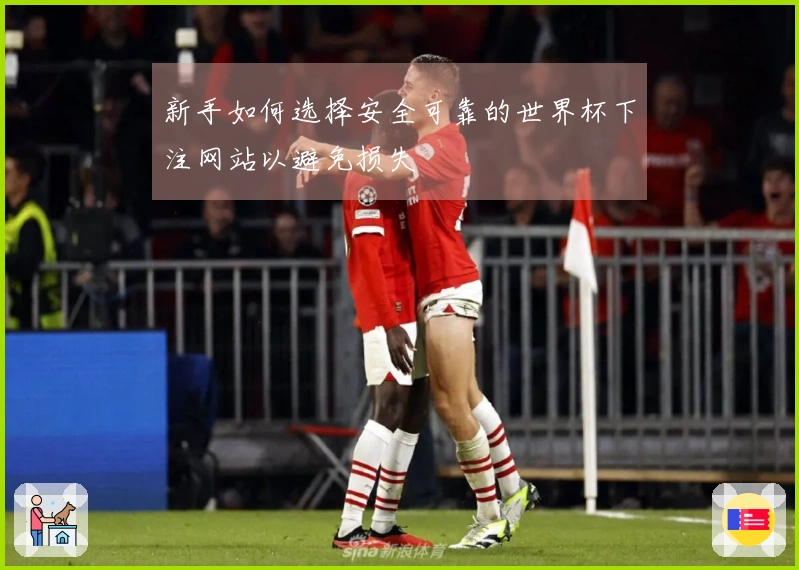新手如何选择安全可靠的世界杯下注网站以避免损失