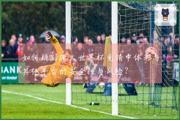 如何辨别烽火世界杯竞猜中体彩与其他平台的安全性与风险？