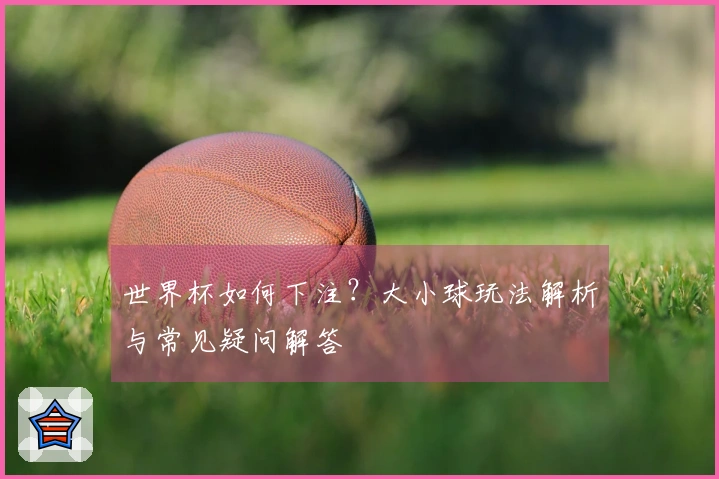 世界杯如何下注？大小球玩法解析与常见疑问解答