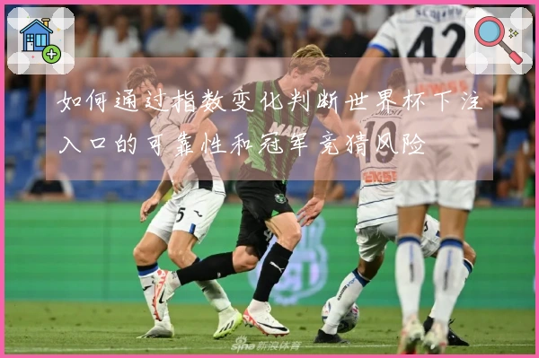 如何通过指数变化判断世界杯下注入口的可靠性和冠军竞猜风险