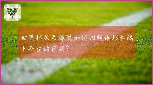 世界杯买足球时如何判断体彩和线上平台的区别？