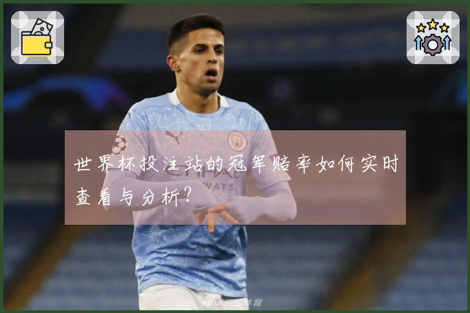 世界杯投注站的冠军赔率如何实时查看与分析？