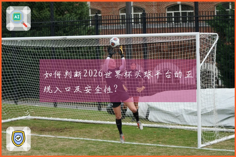 如何判断2026世界杯买球平台的正规入口及安全性？