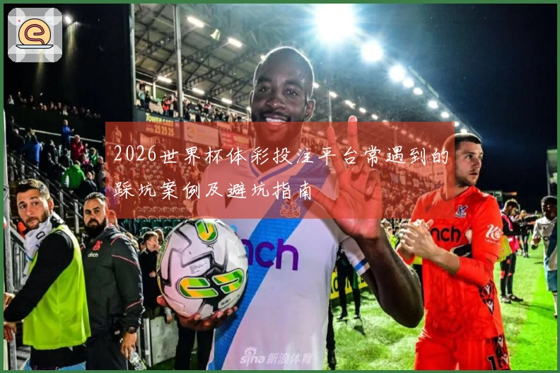 2026世界杯体彩投注平台常遇到的踩坑案例及避坑指南