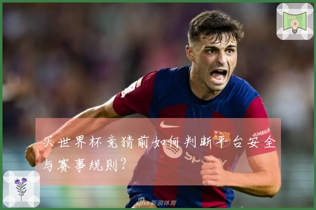 买世界杯竞猜前如何判断平台安全与赛事规则？