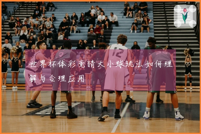世界杯体彩竞猜大小球玩法如何理解与合理应用