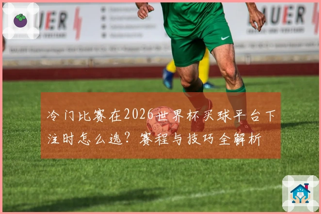 冷门比赛在2026世界杯买球平台下注时怎么选？赛程与技巧全解析