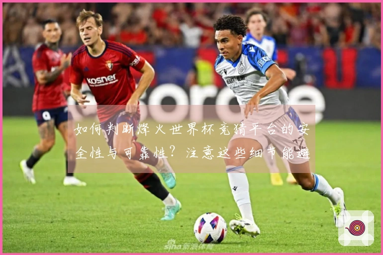 如何判断烽火世界杯竞猜平台的安全性与可靠性？注意这些细节能避坑