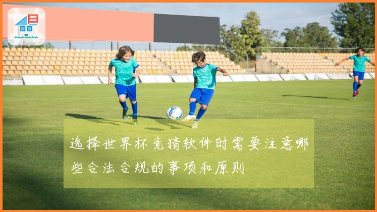 选择世界杯竞猜软件时需要注意哪些合法合规的事项和原则