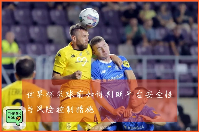 世界杯买球前如何判断平台安全性与风险控制措施